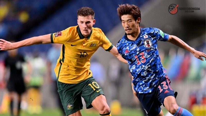 Nhận định bóng đá Australia vs Nhật Bản - Cuộc đối đầu 2 Thông tin lực lượng Australia vs Nhật Bản