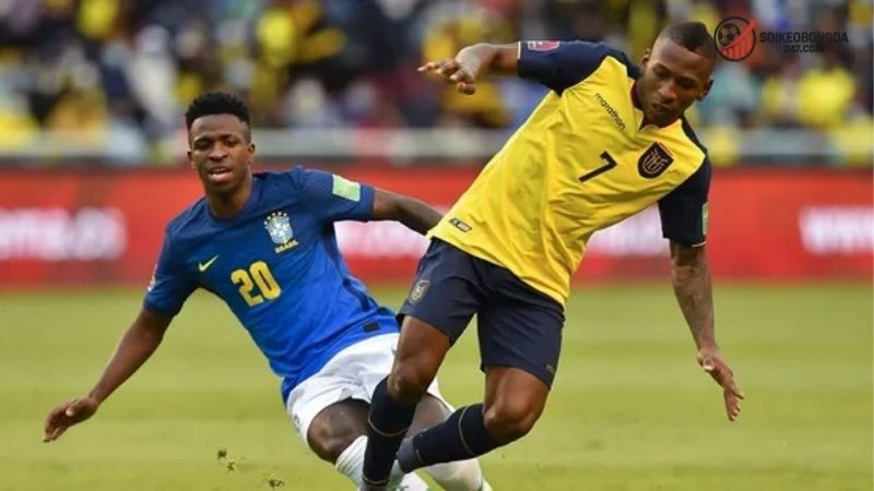 Nhận định bóng đá Ecuador vs Brazil - Thách thức khó khăn 2 Thông tin lực lượng Ecuador vs Brazil mới nhất