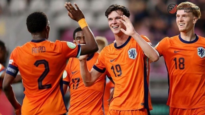 Nhận định bóng đá Đan Mạch vs Bắc Ireland - Cuộc chạm trán 2 Thông tin lực lượng Đan Mạch vs Bắc Ireland mới nhất