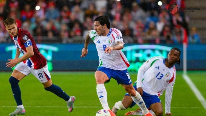 Nhận định bóng đá Italia vs Moldova - Cuộc chiến sinh tử 2 Thông tin lực lượng Italia vs Moldova mới nhất