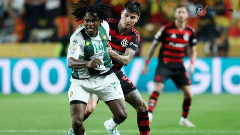 Nhận định bóng đá Los Angeles vs Flamengo – Cuộc chạm trán 2 Thông tin lực lượng Los Angeles vs Flamengo mới nhất