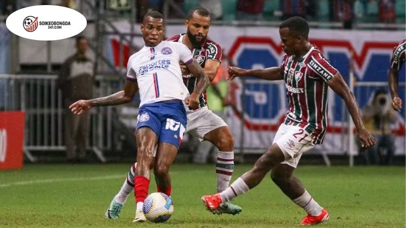 Soi kèo bóng đá Fluminense vs Bahia, 05h00 ngày 11/9, gục ngã tại Maracana 2 Thông tin lực lượng Fluminense vs Bahia mới nhất