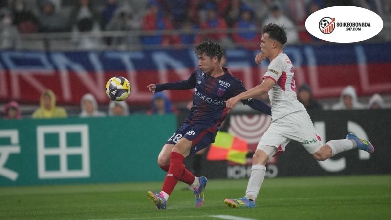 Soi kèo Shonan Bellmare vs Sanfrecce Hiroshima 17h00 ngày 3/9 (Cúp Liên đoàn Nhật Bản 2025) 2 Giới thiệu về Cúp Liên đoàn Nhật Bản 2025